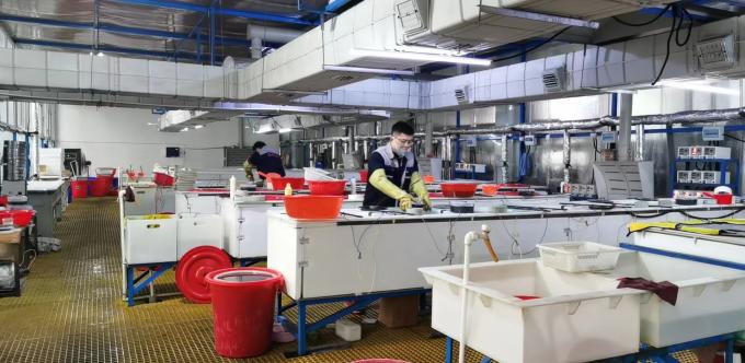 ZHENGZHOU JINCHUAN ABRASIVES CO., LTD. Fábrica